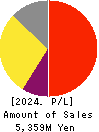 Solvvy Inc. Profit and Loss Account 2024年Jun期 Solvvy Inc. Profit and Loss Account 2024年6月期