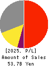ENDO Lighting Corporation Profit and Loss Account 2025年Mar期 ENDO Lighting Corporation Profit and Loss Account 2025年3月期