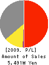 Minerva Holdings CO.,LTD. Profit and Loss Account 2009年1月期