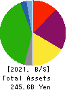 IINO KAIUN KAISHA, LTD. Balance Sheet 2021年Mar期 IINO KAIUN KAISHA, LTD. Balance Sheet 2021年3月期