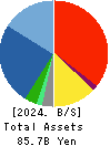 TECHMATRIX CORPORATION Balance Sheet 2024年Mar期 TECHMATRIX CORPORATION Balance Sheet 2024年3月期