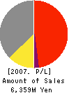 EBATA Corporation Profit and Loss Account 2007年3月期