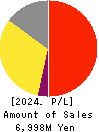 Advantage Risk Management Co.,Ltd. Profit and Loss Account 2024年3月期