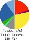 DN HOLDINGS CO.,LTD. Balance Sheet 2023年Jun期 DN HOLDINGS CO.,LTD. Balance Sheet 2023年6月期