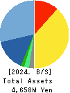 WDB coco CO.,LTD. Balance Sheet 2024年Mar期 WDB coco CO.,LTD. Balance Sheet 2024年3月期