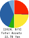 AIMECHATEC,Ltd. Balance Sheet 2024年Jun期 AIMECHATEC,Ltd. Balance Sheet 2024年6月期