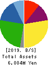 TEIN, INC. Balance Sheet 2019年Mar期 TEIN, INC. Balance Sheet 2019年3月期
