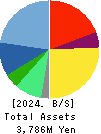 Datasection Inc. Balance Sheet 2024年Mar期 Datasection Inc. Balance Sheet 2024年3月期