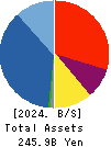 KI-STAR REAL ESTATE CO.,LTD Balance Sheet 2024年3月期