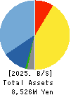 GENOVA,Inc. Balance Sheet 2025年3月期