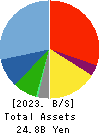 WELLNET CORPORATION Balance Sheet 2023年Jun期 WELLNET CORPORATION Balance Sheet 2023年6月期