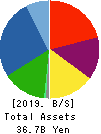 INTELLEX Co.,Ltd. Balance Sheet 2019年May期 INTELLEX Co.,Ltd. Balance Sheet 2019年5月期