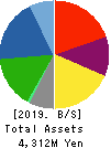 DM Solutions Co.,Ltd Balance Sheet 2019年Mar期 DM Solutions Co.,Ltd Balance Sheet 2019年3月期