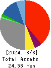 Solvvy Inc. Balance Sheet 2024年6月期