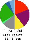 RENAISSANCE,INCORPORATED Balance Sheet 2024年Mar期 RENAISSANCE,INCORPORATED Balance Sheet 2024年3月期