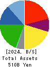 Ferrotec Holdings Corporation Balance Sheet 2024年Mar期 Ferrotec Holdings Corporation Balance Sheet 2024年3月期