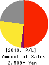 Alue Co.,Ltd. Profit and Loss Account 2019年12月期