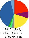 IK HOLDINGS Co.,Ltd. Balance Sheet 2025年May期 IK HOLDINGS Co.,Ltd. Balance Sheet 2025年5月期