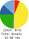 AXYZ Co.,Ltd. Balance Sheet 2023年Jun期 AXYZ Co.,Ltd. Balance Sheet 2023年6月期