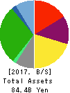 TSUKADA GLOBAL HOLDINGS Inc. Balance Sheet 2017年Dec期 TSUKADA GLOBAL HOLDINGS Inc. Balance Sheet 2017年12月期