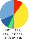 True Data Inc. Balance Sheet 2025年3月期