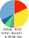 CELSYS,Inc. Balance Sheet 2024年Dec期 CELSYS,Inc. Balance Sheet 2024年12月期