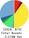 Kokopelli Inc. Balance Sheet 2024年Mar期 Kokopelli Inc. Balance Sheet 2024年3月期