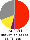 ENDO Lighting Corporation Profit and Loss Account 2024年3月期