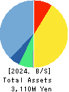 FunPep Company Limited Balance Sheet 2024年Dec期 FunPep Company Limited Balance Sheet 2024年12月期