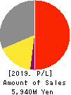 PLATZ Co.,Ltd. Profit and Loss Account 2019年6月期