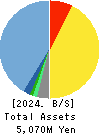 Synchro Food Co.,Ltd. Balance Sheet 2024年Mar期 Synchro Food Co.,Ltd. Balance Sheet 2024年3月期