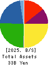 TANAKA CHEMICAL CORPORATION Balance Sheet 2025年3月期