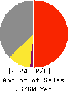 GreenEnergy & Company Inc. Profit and Loss Account 2024年4月期