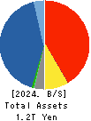 OKASAN SECURITIES GROUP INC. Balance Sheet 2024年3月期