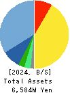 Double Standard Inc. Balance Sheet 2024年3月期