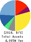 Allied Architects,Inc. Balance Sheet 2024年12月期
