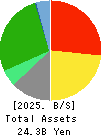 Kabuki-Za Co.,Ltd. Balance Sheet 2025年Feb期 Kabuki-Za Co.,Ltd. Balance Sheet 2025年2月期