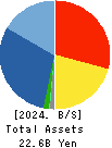 DVx Inc. Balance Sheet 2024年Mar期 DVx Inc. Balance Sheet 2024年3月期