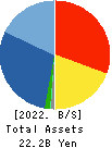 DVx Inc. Balance Sheet 2022年Mar期 DVx Inc. Balance Sheet 2022年3月期