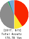 SBI Insurance Group Co.,Ltd. Balance Sheet 2017年Mar期 SBI Insurance Group Co.,Ltd. Balance Sheet 2017年3月期