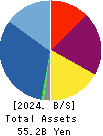 Wealth Management, Inc. Balance Sheet 2024年3月期