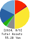 DKK Co.,Ltd. Balance Sheet 2024年Mar期 DKK Co.,Ltd. Balance Sheet 2024年3月期