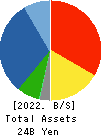 YAMASHITA HEALTH CARE HOLDINGS,INC. Balance Sheet 2022年May期 YAMASHITA HEALTH CARE HOLDINGS,INC. Balance Sheet 2022年5月期