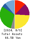 Inui Global Logistics Co., Ltd. Balance Sheet 2024年Mar期 Inui Global Logistics Co., Ltd. Balance Sheet 2024年3月期