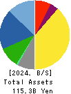 TSURUMI MANUFACTURING CO.,LTD. Balance Sheet 2024年Mar期 TSURUMI MANUFACTURING CO.,LTD. Balance Sheet 2024年3月期