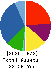 INTELLEX Co.,Ltd. Balance Sheet 2020年May期 INTELLEX Co.,Ltd. Balance Sheet 2020年5月期