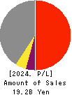 Techno Smart Corp. Profit and Loss Account 2024年3月期