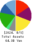HURXLEY CORPORATION Balance Sheet 2024年Mar期 HURXLEY CORPORATION Balance Sheet 2024年3月期