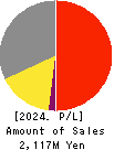 GiXo Ltd. Profit and Loss Account 2024年Jun期 GiXo Ltd. Profit and Loss Account 2024年6月期