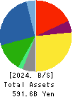 EXEO Group, Inc. Balance Sheet 2024年Mar期 EXEO Group, Inc. Balance Sheet 2024年3月期